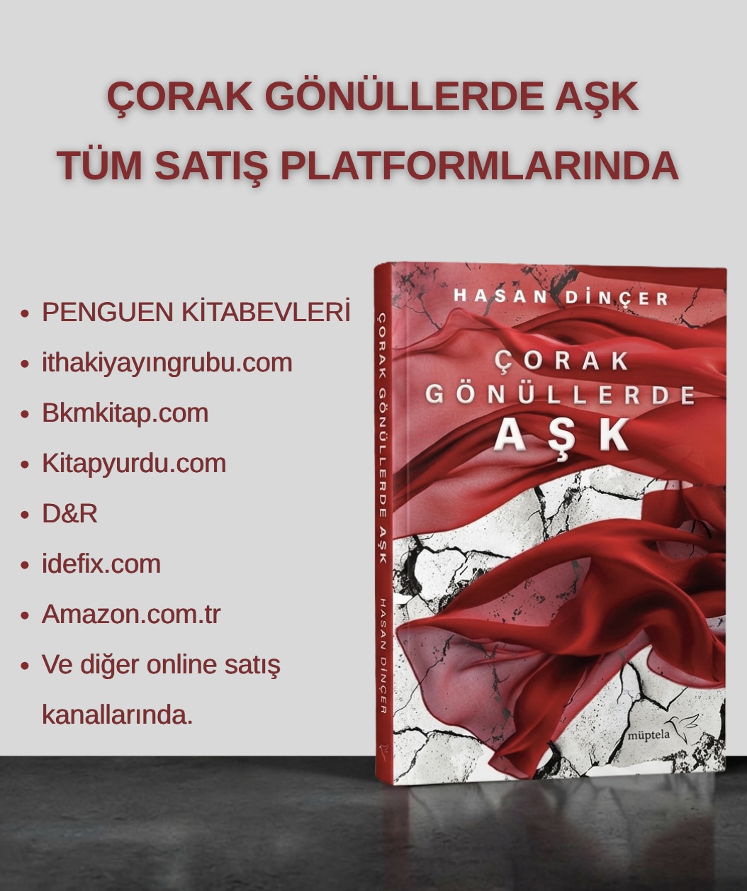 Albüm fotoğrafı 5